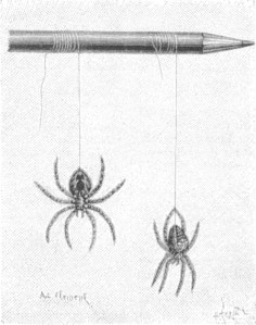 La Nature 1886 S.116