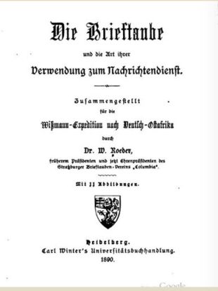 Brieftauben für Afrika