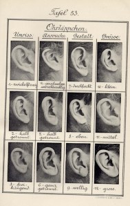 Ohrenform_Bertillonage